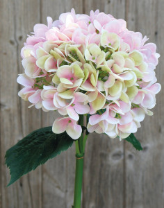 2270 508 a3 Искусственная гортензия, 65 см, розово-зеленая H-andreas