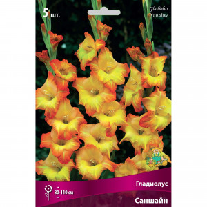 82530178 Гладиолусы крупноцветковые Саншайн