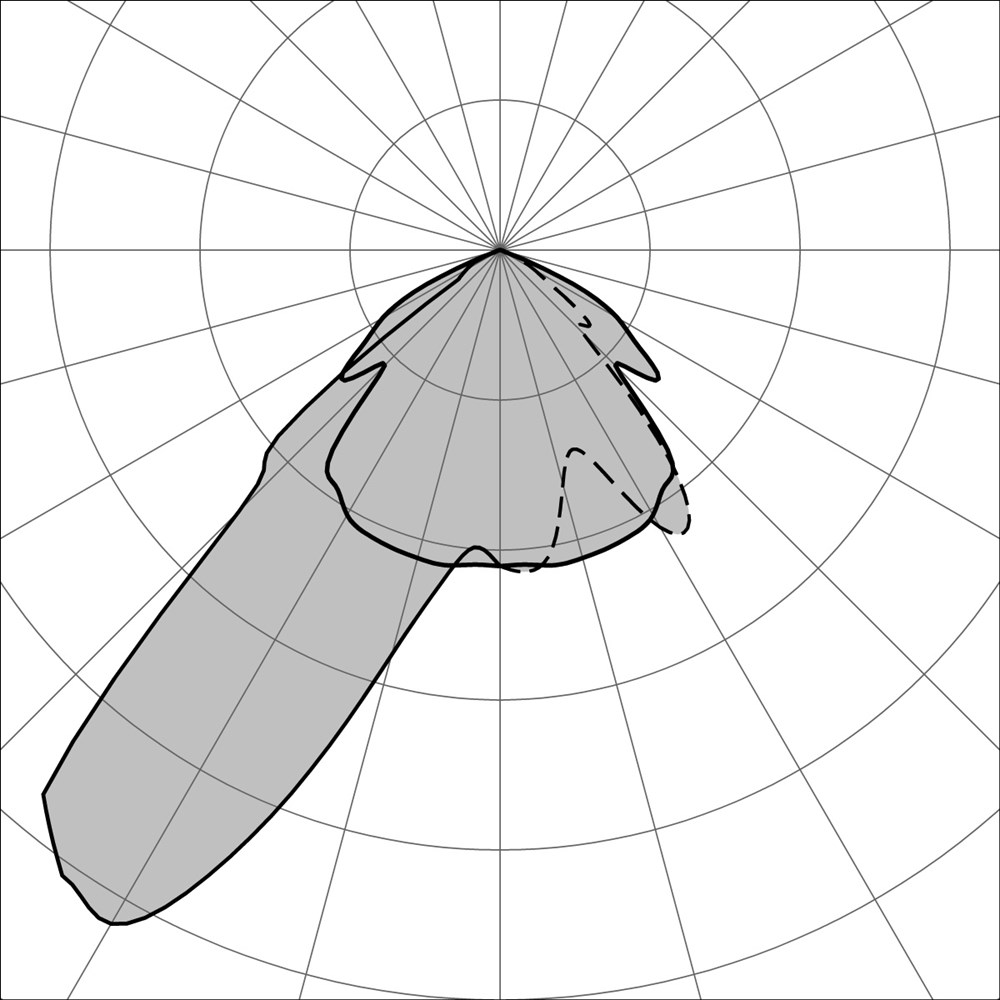 MaxiCarrera Ghidini Carrera .15 Нержавеющая Сталь  - Вид №3
