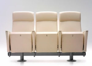 Ares Line Сиденье для аудитории Eidos