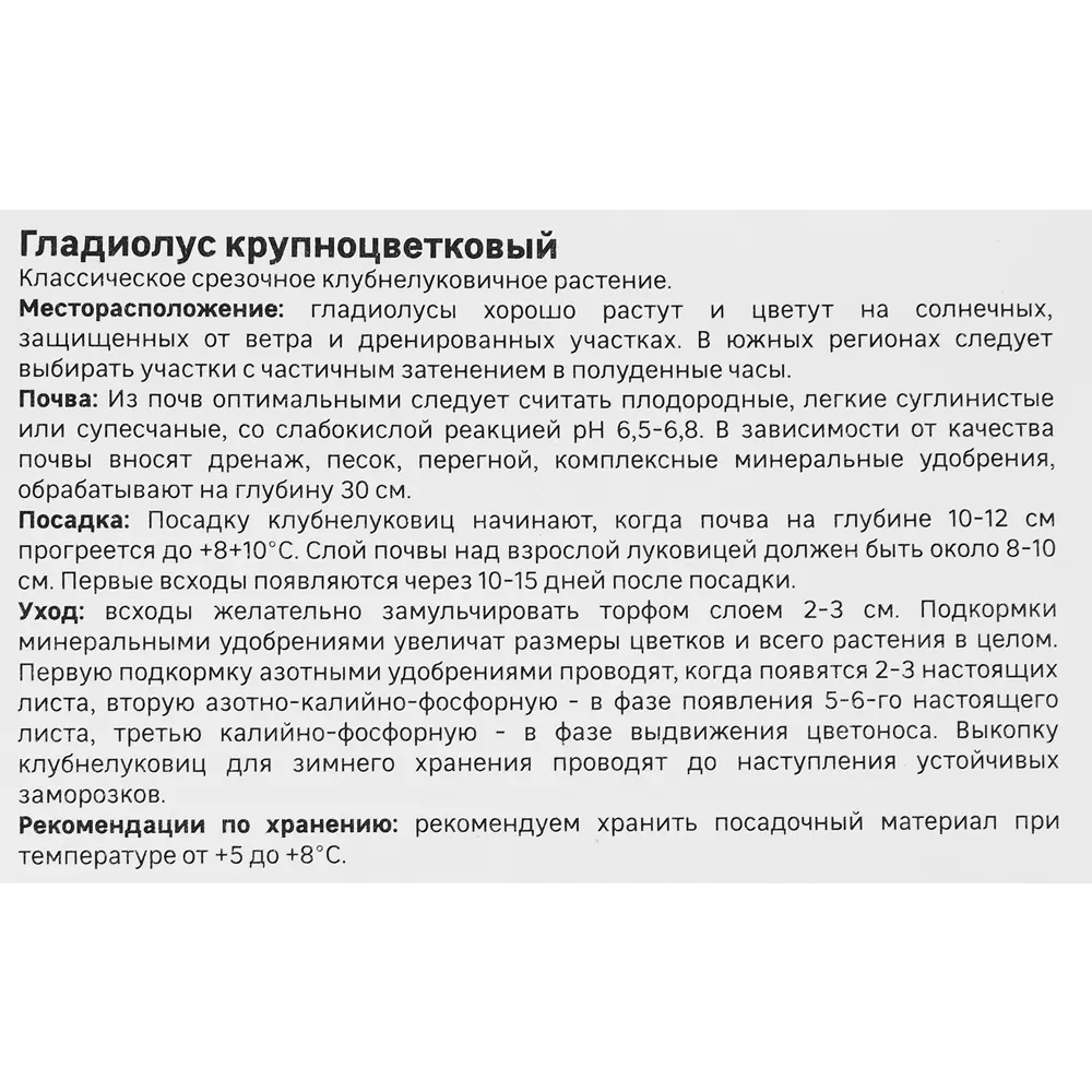 Гладиолус Бонфайр, 3 шт GEOLIA STLM-2084076 - Вид №1
