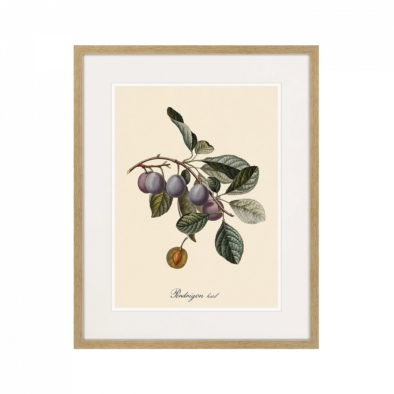 Картина: Juicy fruit lithography №5, 1870г. КАРТИНЫ В КВАРТИРУ  264441 Разноцветный  - Вид №1