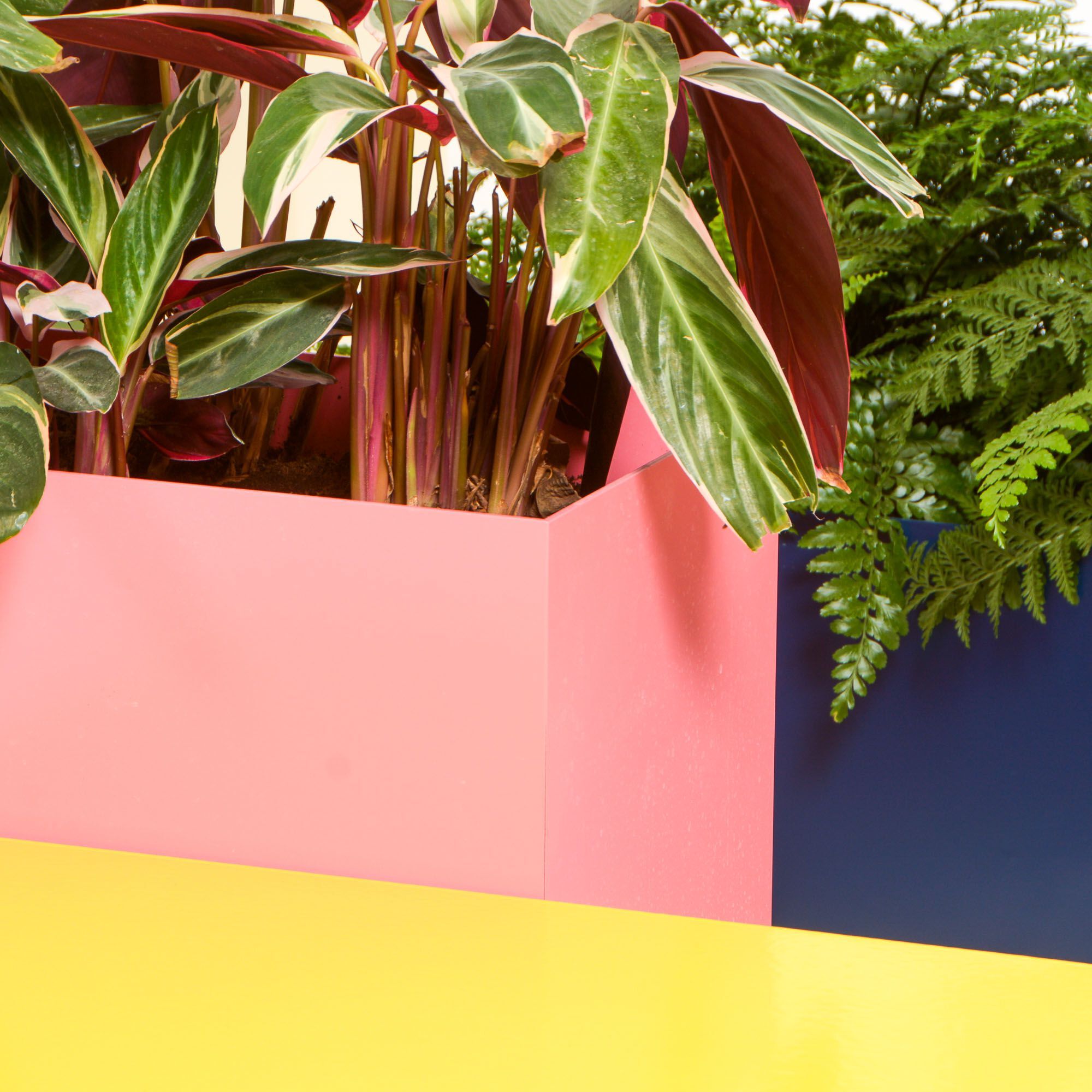 Низкая алюминиевая плантатор с порошковым покрытием SIXINCH PLANTER ARCH-00146353 - Вид №6