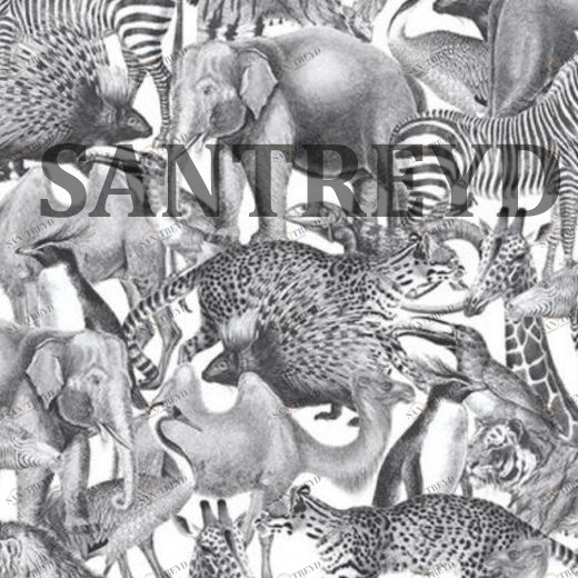 105474 Обои Graham&Brown Curiosity