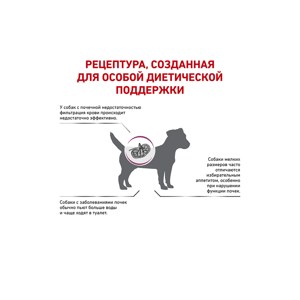 ПР0056149 Корм для собак Vet Diet Renal для мелких пород с хронической болезнью почек сух. 500г ROYAL CANIN  - Вид №1
