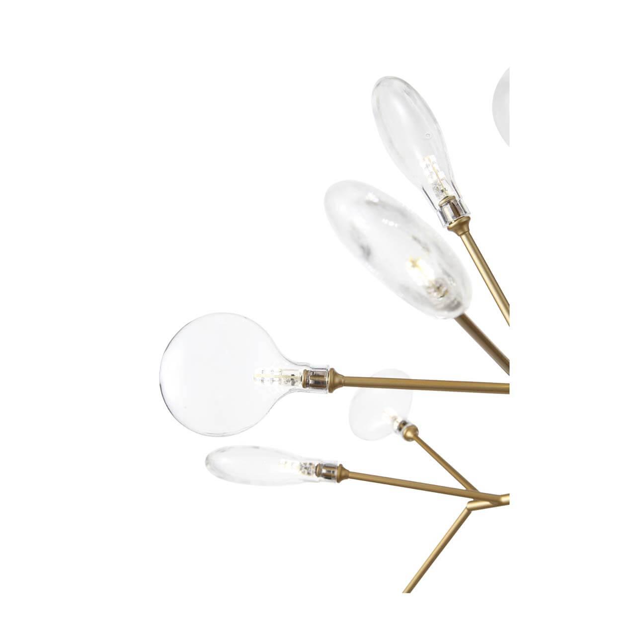 Торшер светодиодный 180х80 см золото с прозрачным Riccardo SL411.205.27 ST LUCE ФЛОРИСТИКА 00-3889406 Золото;прозрачный  - Вид №1