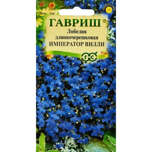 Лобелия Император Вилли от Гавриш - ярко-синий цветочный ковер 89344843