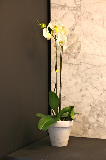 FranchiUmbertoMarmi Мраморная ваза Mac sun-id-1495979 - Вид №2