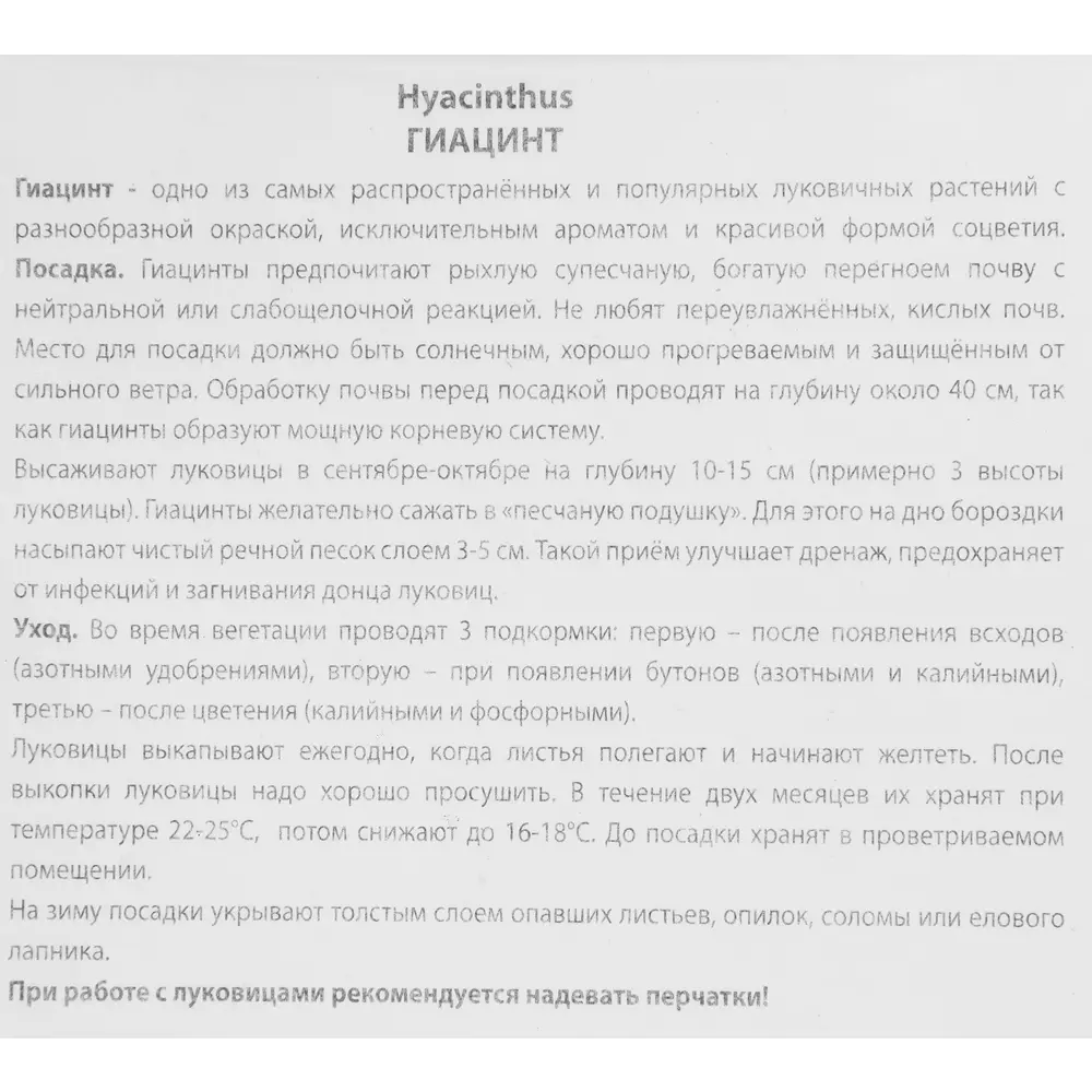 Гиацинт Айлос ПОИСК - белоснежные луковицы для сада, 3 шт 85204906 STLM-1564943 - Вид №2