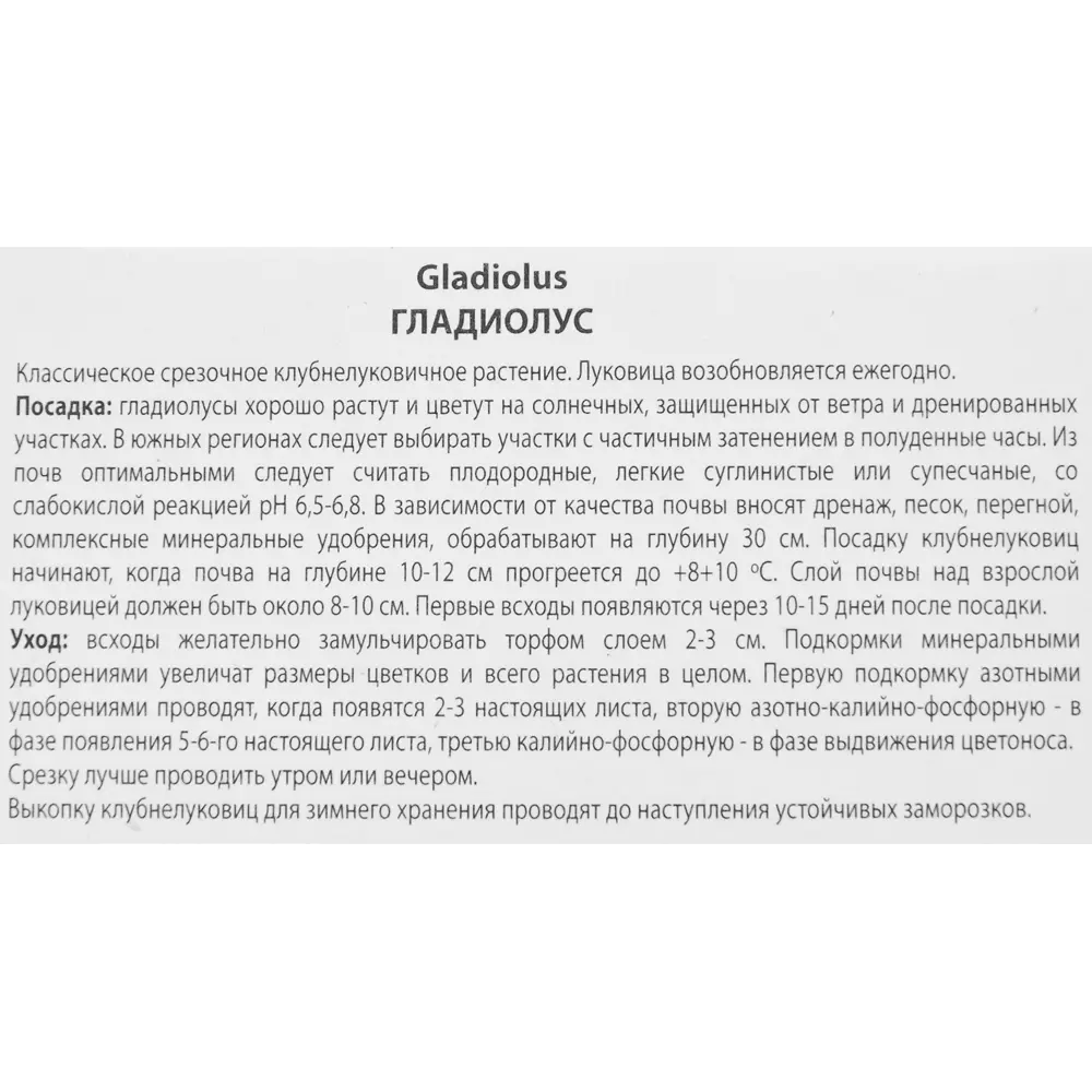 Гладиолус крупноцветковый Блэк Джек, 3 шт 86410038 STLM-2195096 ПОИСК  - Вид №2