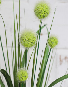 4945 883 a3 Мяч из искусственной травы, 75 см, зеленый H-andreas