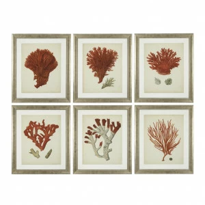 Постер на стену красный 6 штук Antique Red Corals 111741 EICHHOLTZ ДИЗАЙНЕРСКИЕ 00-3879168 Красный