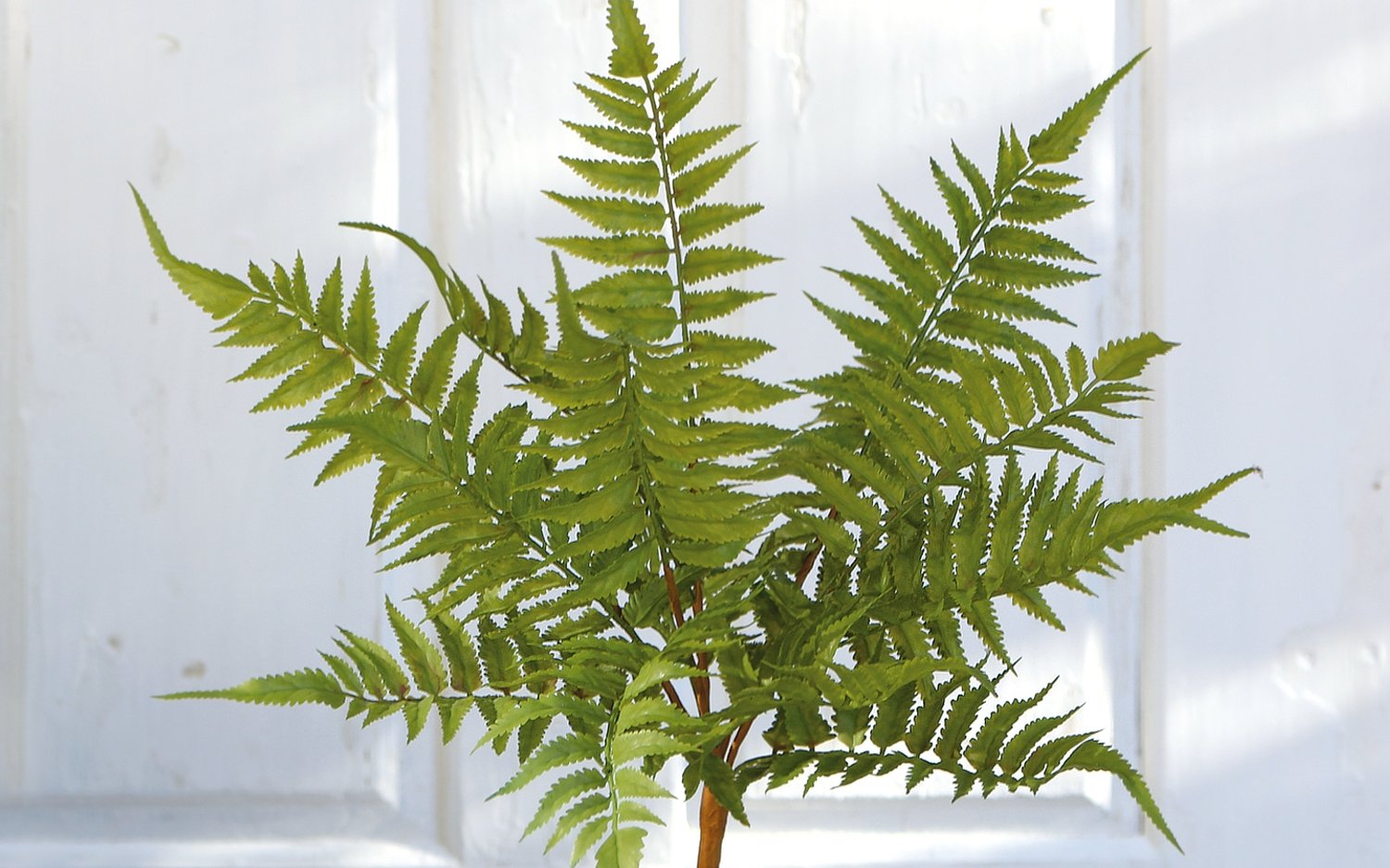 4917 883 a3 Имитация куста папоротника, 44 см, зеленая H-andreas  - Вид №3