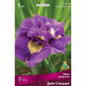 83597276 Ирис сибирский Дабл Стандарт луковица I
