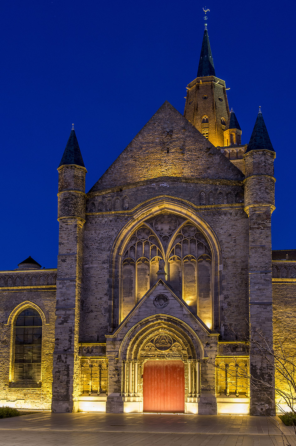 8322501 Проектор Platek SPRING Proiettore  SPRING Floodlight - 24 LED RGBW 9°  - Вид №2