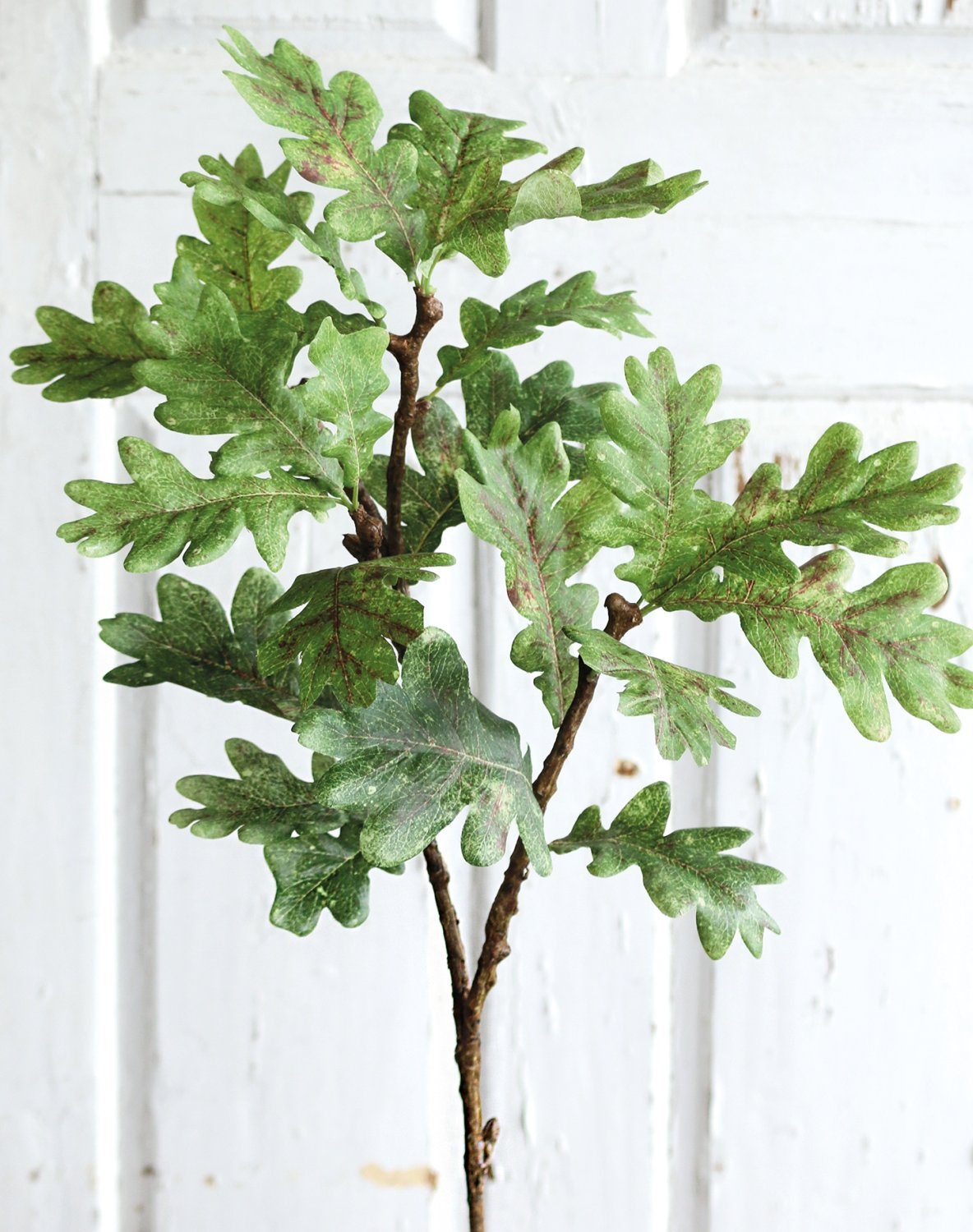 4856 860 a3 Искусственный дуб спрей, 86 см, зелено-коричневый H-andreas 