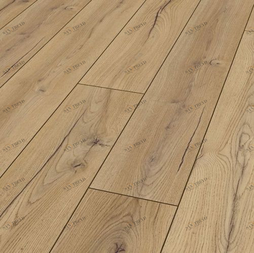 Ламинат Maestro Club Дуб Элит A 07 4000100007