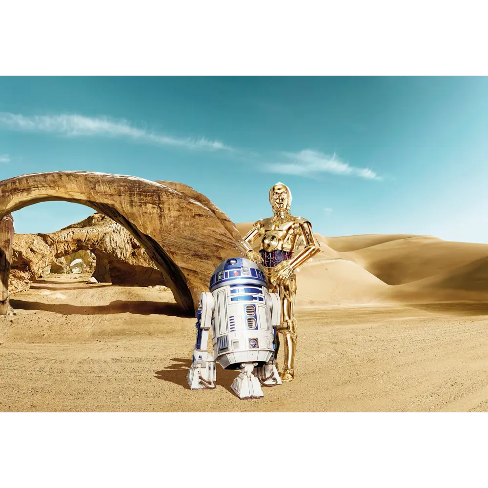 Фотопанно бумажное «Star Wars Droid» 368х254 см Komar Disney/Marvel/Star Wars STLM-2057208