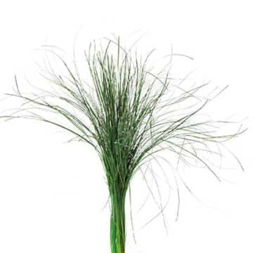 Листья берграсс 70 см Santreyd 26378 - Вид №1