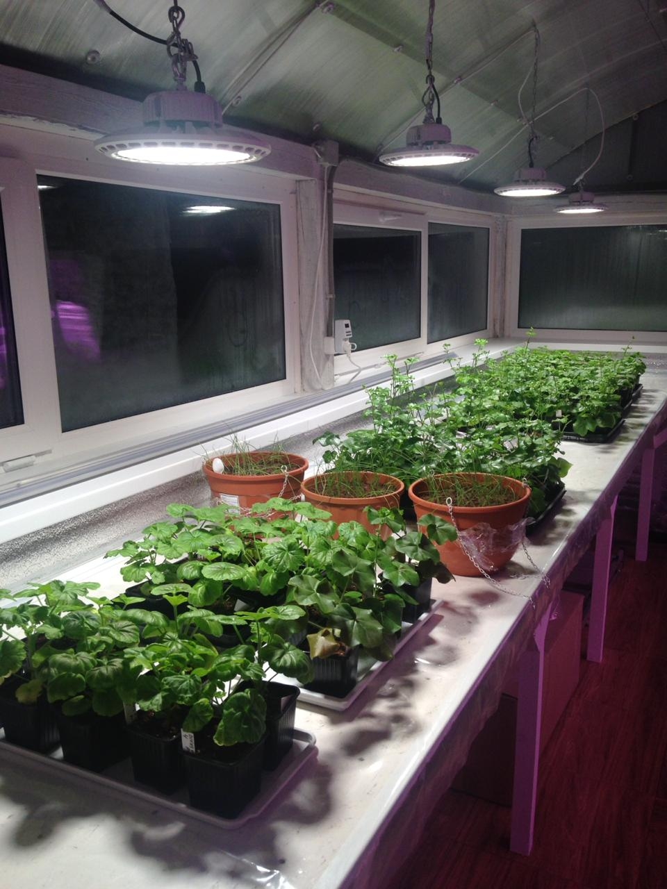 1311 Фитолампа UFO SMD 50 Watt LAB.Space  - Вид №13