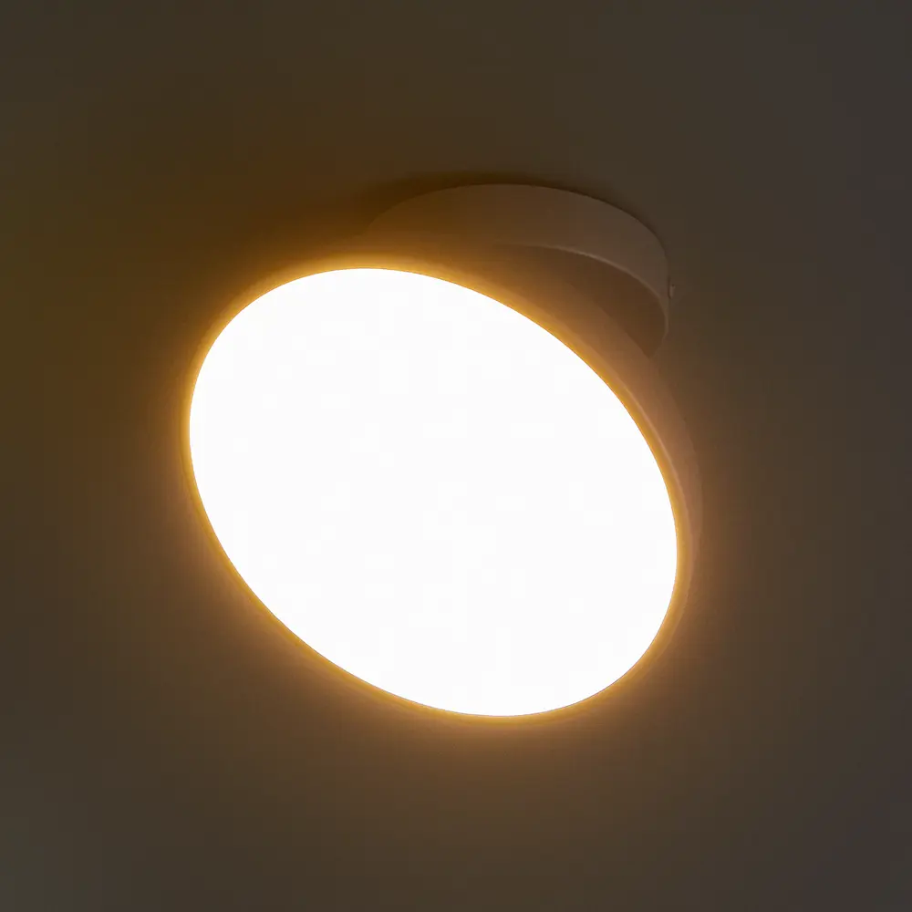 Светильник потолочный 20023SMA/01 цвет серый Escada STLM-2162032 - Вид №1