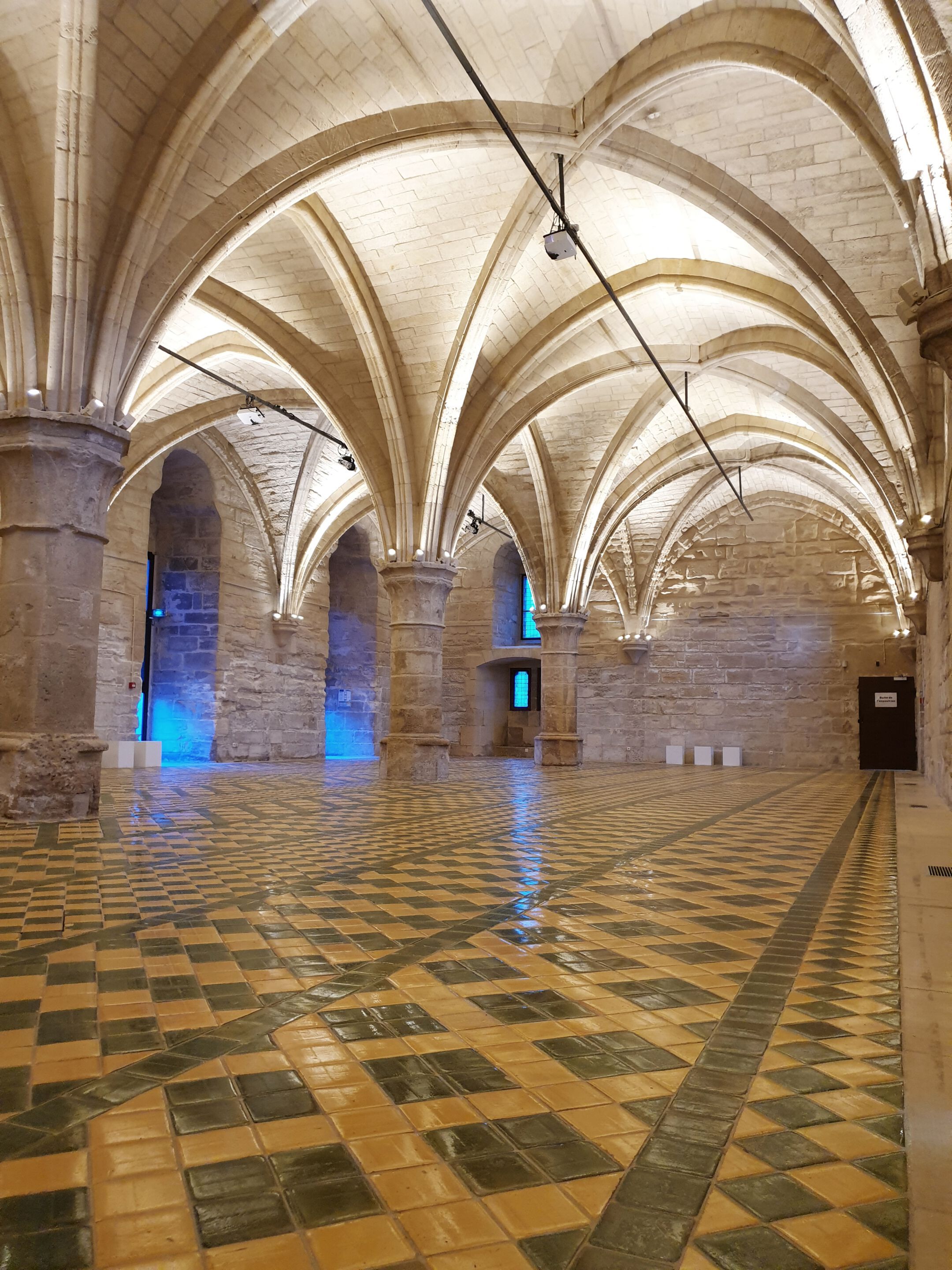 Регулируемый светодиодный наружный прожектор TARGETTI DART MAXI ARCH-00070313 - Вид №2