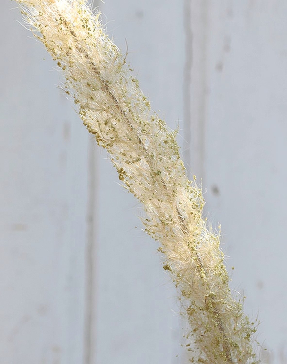 6813 788 a3 Трость искусственная, 160 см, бежево-зеленая H-andreas  - Вид №3