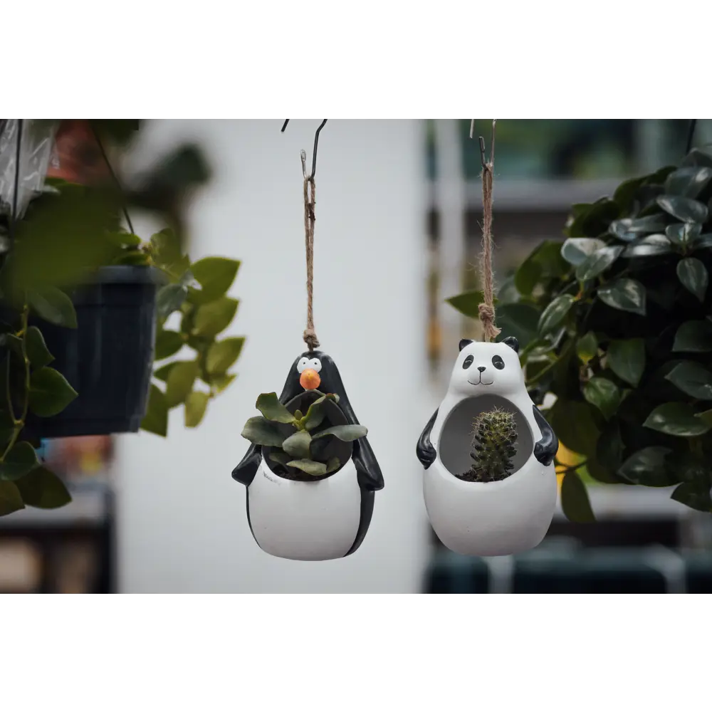 Кашпо-кактусник 10.5x10x14 см v0.15 л керамика чёрный/белый GARDMAX STLM-2000014 - Вид №5