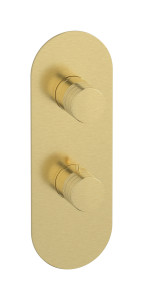 Внешняя часть термостатического двухходового переключателя, круглая пластина, вертикальная, виниловая ручка WE ARE IB eua612isnvn Brushed Pale Gold Aqua