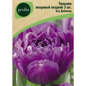 Тюльпан махровый поздний Блу Даймонд 3 шт.