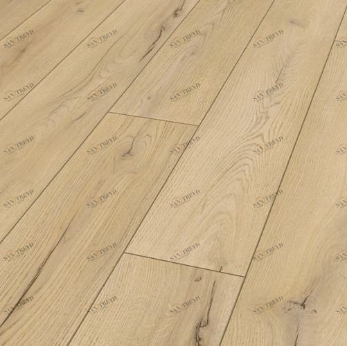 Ламинат Maestro Club Дуб Оптимум A 06 4000100002