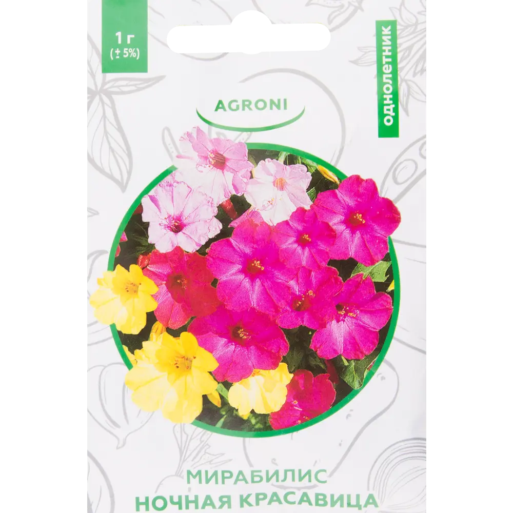 Мирабилис «Ночная красавица» XS 82457721 STLM-2110078 AGRONI 