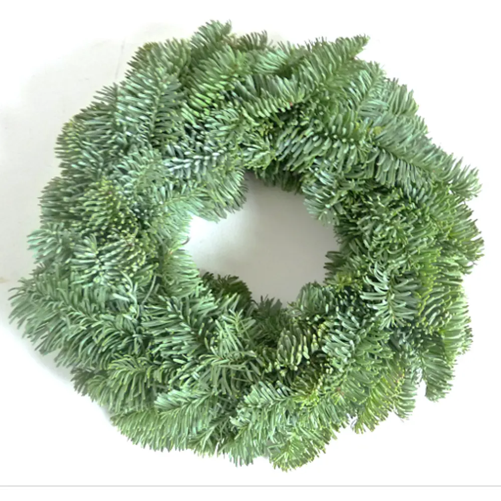 Венок рождественский №4 25 см Santreyd STLM-2113941 - Вид №1