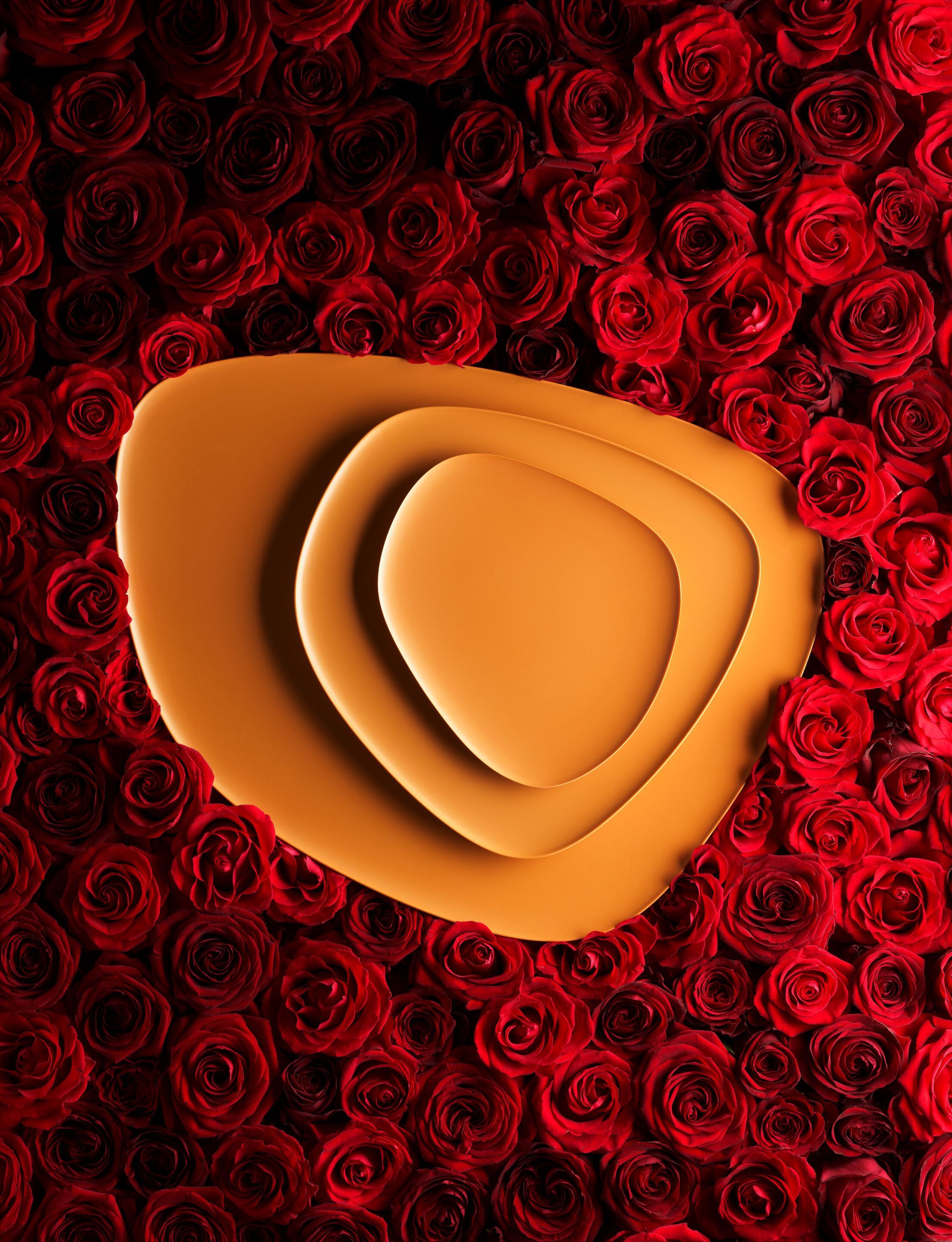 ARCH-00078467 Лоток для хранения яиц Kartell Италия NAMASTÉ - Вид №4