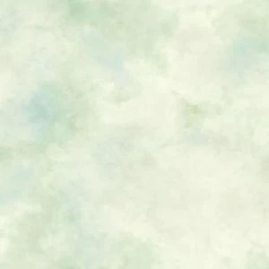 2003-BR-A Обои Aquarelle Brushstrokes