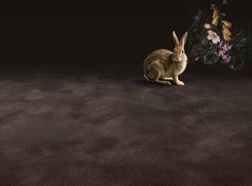 OBJECT CARPET Обычный шерстяной ковер Manufaktur sun-id-1440159 - Вид №3