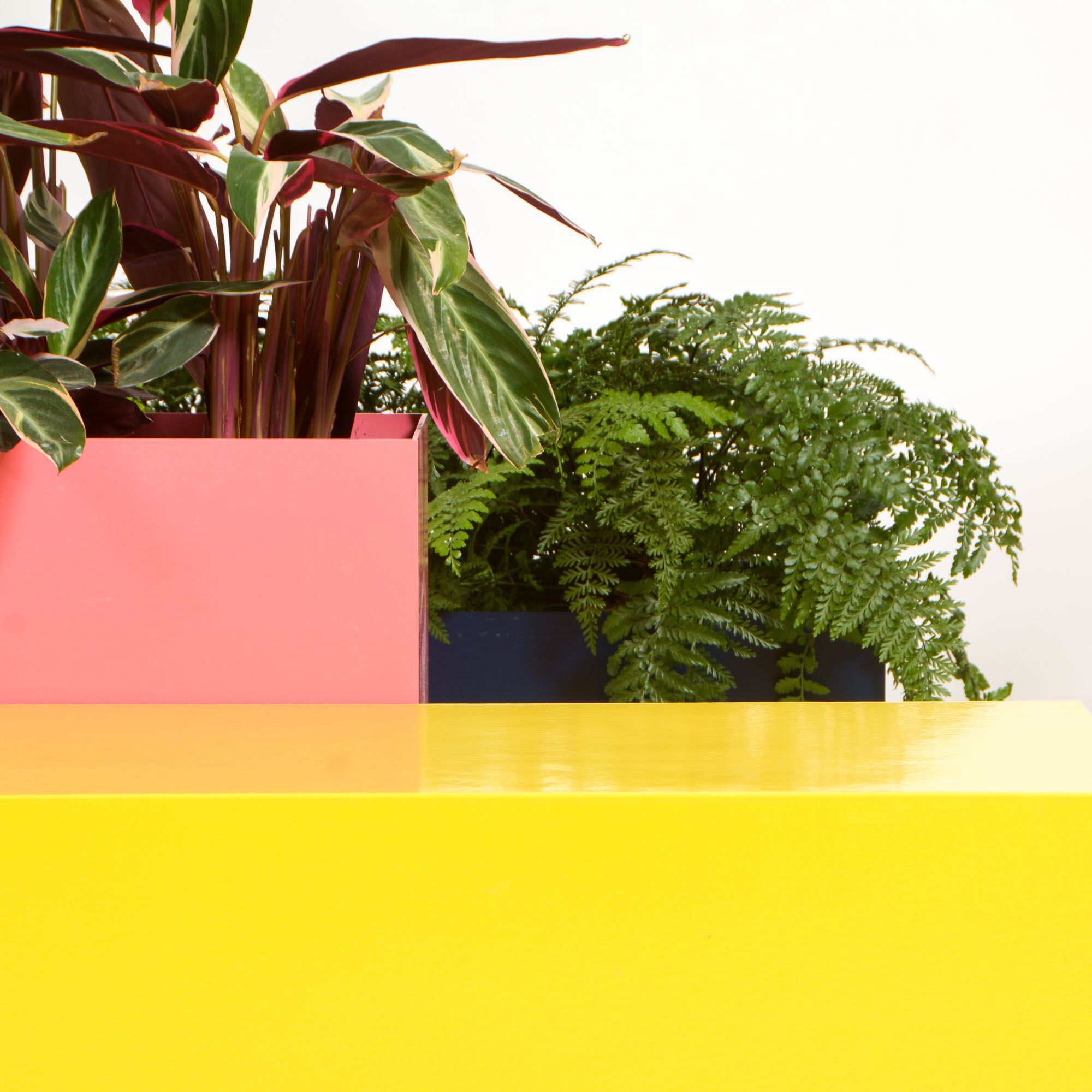 Прямоугольная алюминиевая плантатор с порошковым покрытием SIXINCH PLANTER ARCH-00109030 - Вид №10