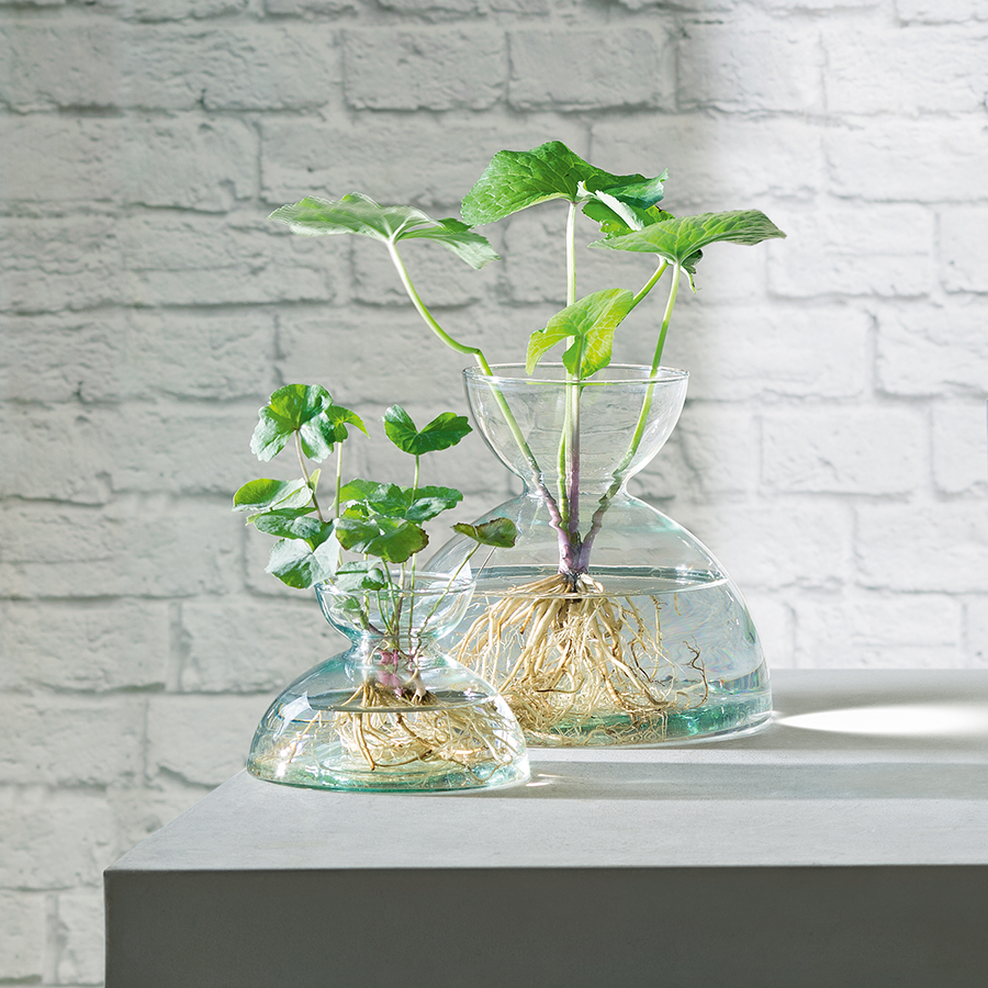 G1584-09-161 Ваза canopy, 9,5 см LSA International  - Вид №2