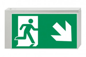 DST-887 Lisu pennant Daisalux Светильники аварийные Белый