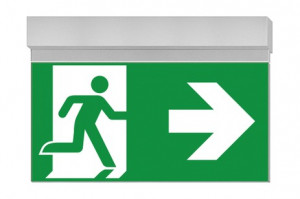 DST-1531 Ikus 320-t Daisalux Светильники сигнальные Серебристо-Серый