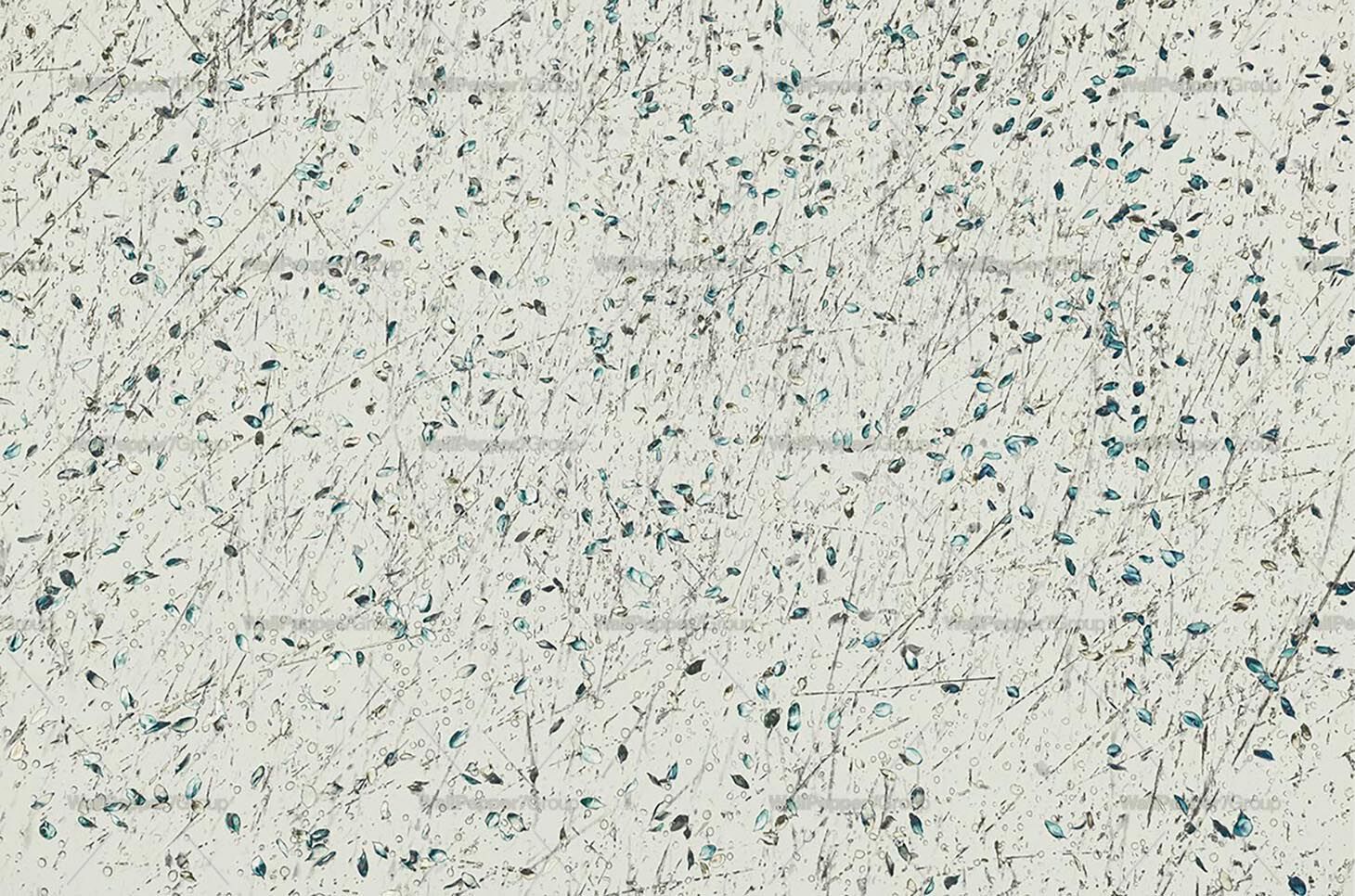 Обои из натурального ПВХ, экологически чистые, моющиеся WallPepper PETALS ARCH-00124067 - Вид №2