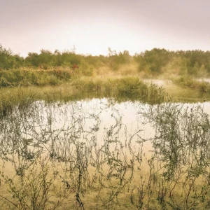 SH065-VD4-Morning-View-II Фотообои Komar Stefan Hefele 2.5х4 м