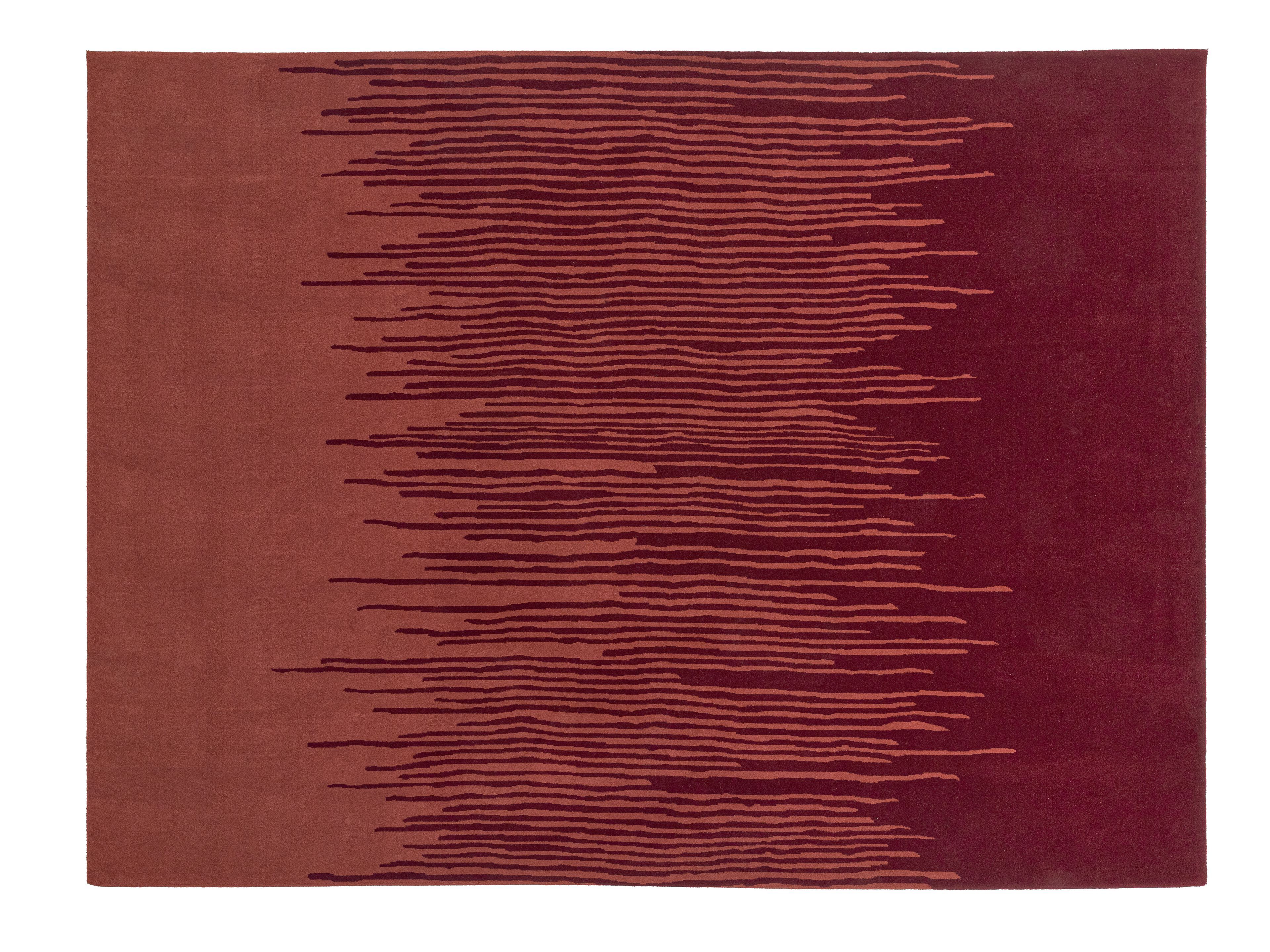 Прямоугольный шерстяной ковер Ditre Italia REED ARCH-00085052 - Вид №2