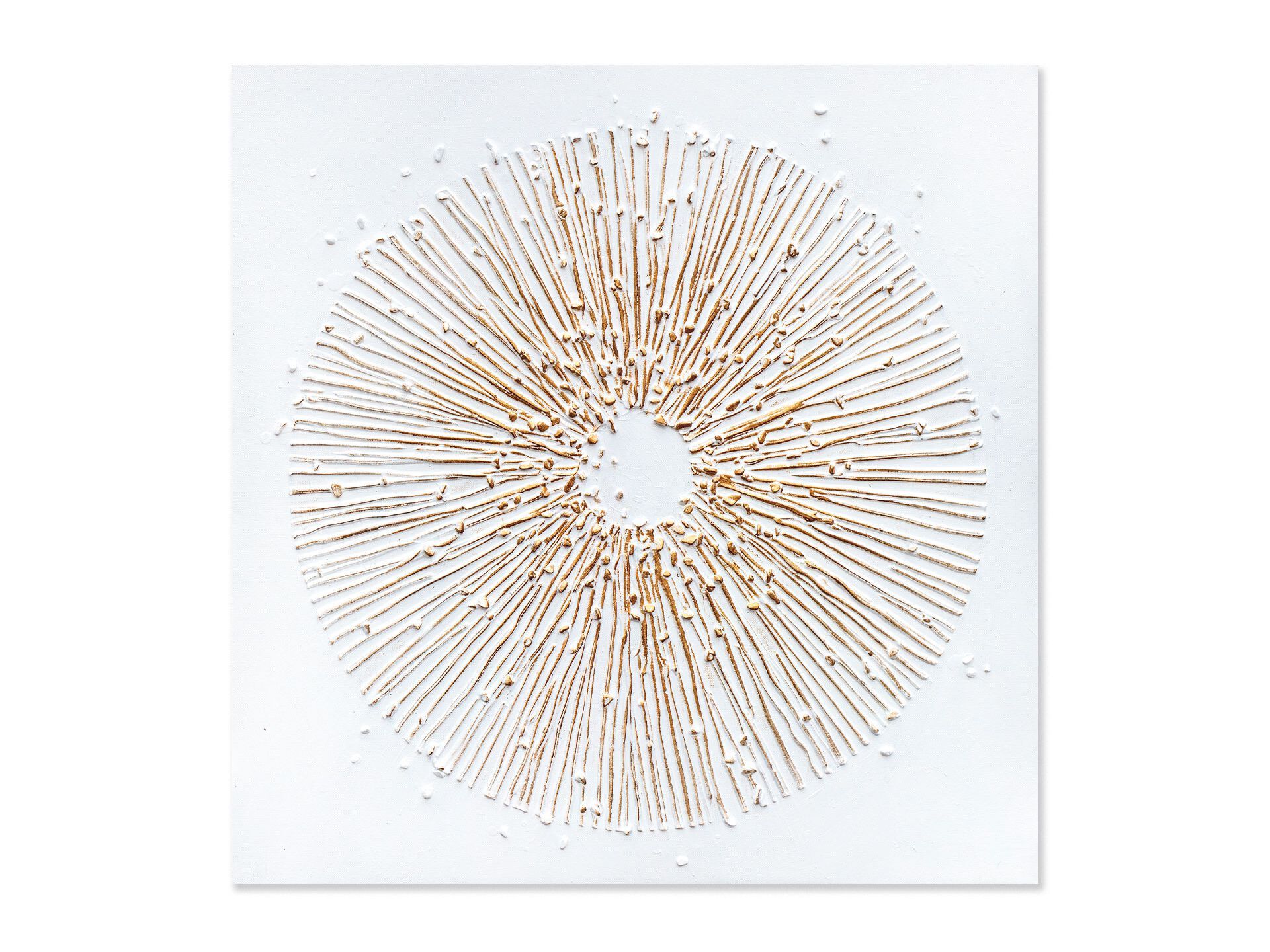 Холст рамки Agave ORO SU TELA 2 ARCH-00147849