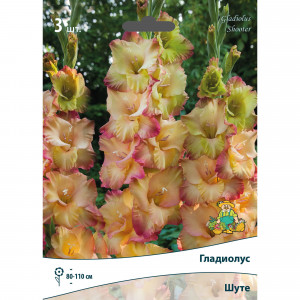 83596359 Гладиолус крупноцветковый Шуте луковица 10/12