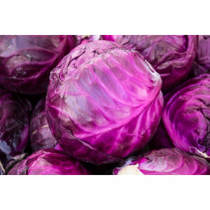 82585472 Капуста краснокачанная в кассете, 6 шт.