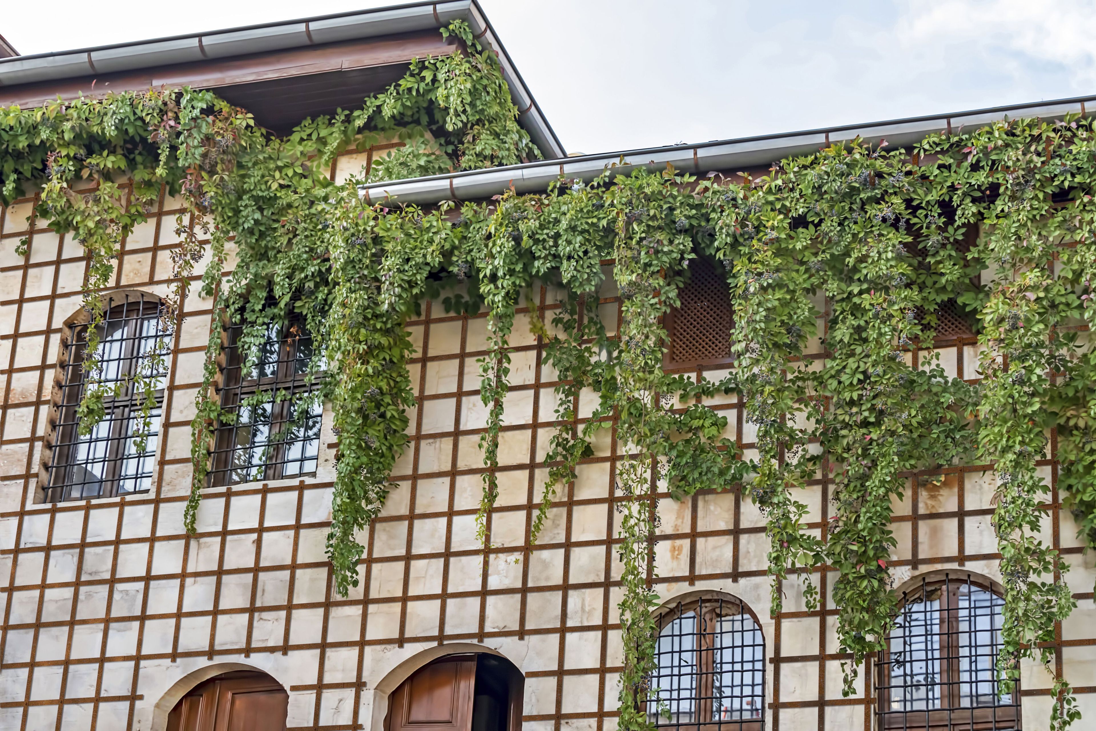 Сухой стальной сейсмической арматуры Progetto Sisma SISMAGRID ARCH-00138802 - Вид №4