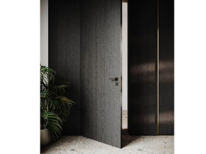 Ясень стены заподлицо дверь