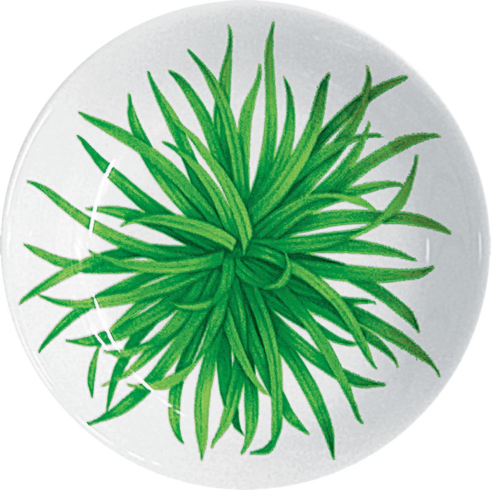 10640788 Taitu Тарелка суповая Taitu "Травы" 24см Фарфор 