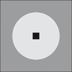 MiniDisco 800 Ghidini Disco